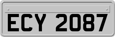 ECY2087