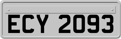 ECY2093