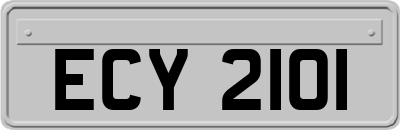 ECY2101