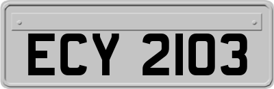 ECY2103