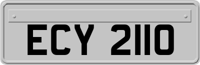 ECY2110