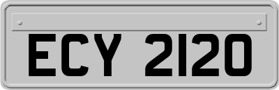 ECY2120