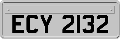 ECY2132