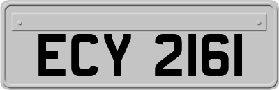 ECY2161
