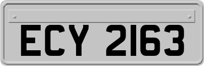 ECY2163