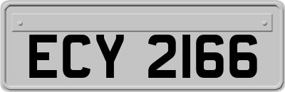 ECY2166