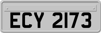 ECY2173