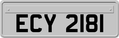 ECY2181