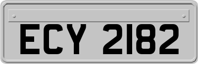 ECY2182