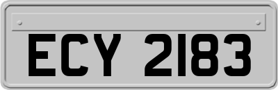 ECY2183
