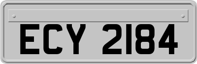 ECY2184