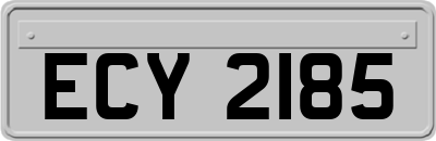 ECY2185
