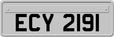 ECY2191