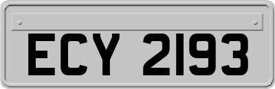 ECY2193