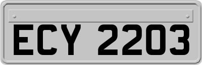 ECY2203