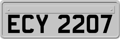 ECY2207