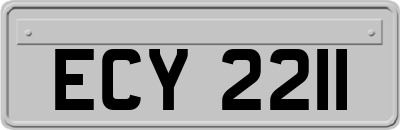 ECY2211
