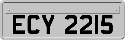 ECY2215