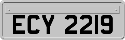ECY2219