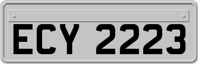 ECY2223