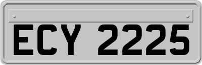 ECY2225