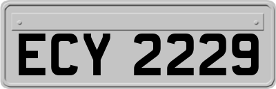ECY2229