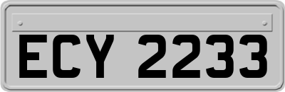 ECY2233