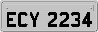 ECY2234