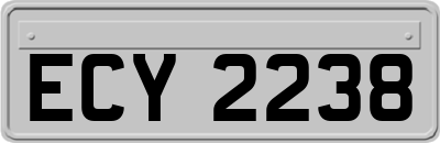 ECY2238