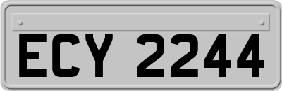ECY2244