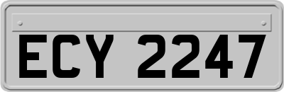 ECY2247