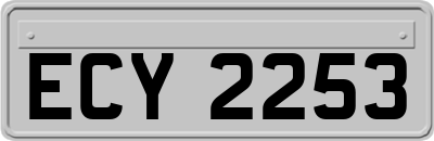ECY2253