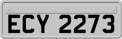ECY2273