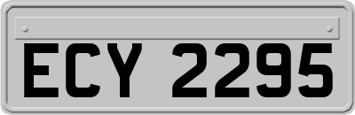 ECY2295