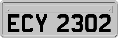 ECY2302