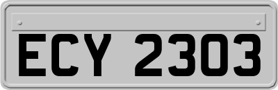 ECY2303