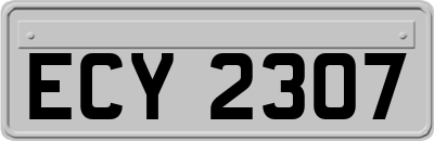 ECY2307
