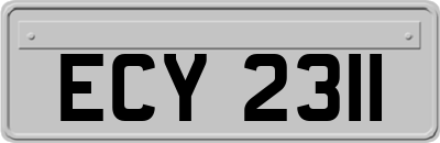 ECY2311
