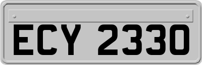 ECY2330