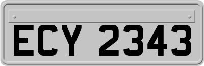 ECY2343