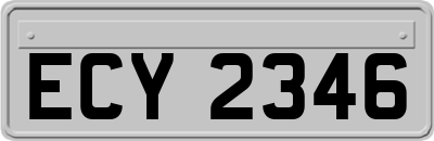 ECY2346