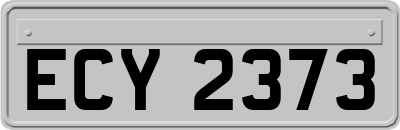ECY2373