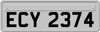 ECY2374
