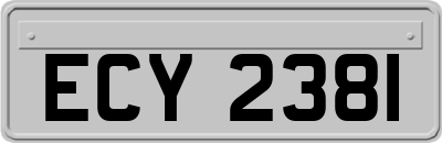 ECY2381