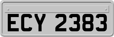 ECY2383