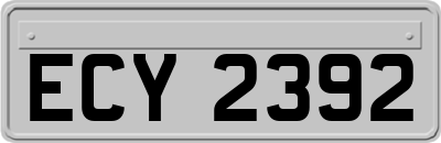 ECY2392