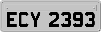 ECY2393