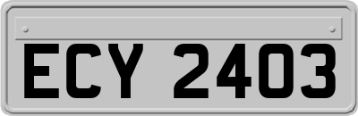 ECY2403