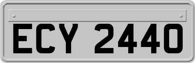 ECY2440