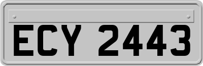 ECY2443